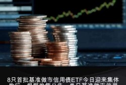 首批信用债ETF，正式纳入