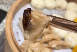 游客在长沙桔子酒店吃出蟑螂，酒店方回应：已在配合调查