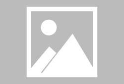 吉利李书福：有些汽车企业的竞争方式令人难以启齿