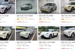 “三四千家都在卖”的零公里二手车，来源比你想的还要广