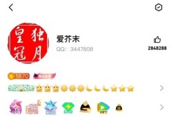 全球首个满级QQ即将诞生