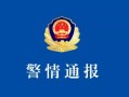 市监总局公布商标行政执法典型案件：一广告代理商为售假视频推流被罚66万元