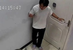 “我劝你带个手套”！宠物医生质疑猫咪战斗力，话音未落就被咬，主人吓到缩墙角