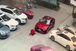 女司机撞人后未踩刹车推行事件深度解析