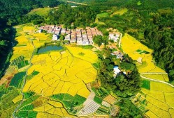 推动有效投资加速落地 新型政策性金融工具渐行渐近