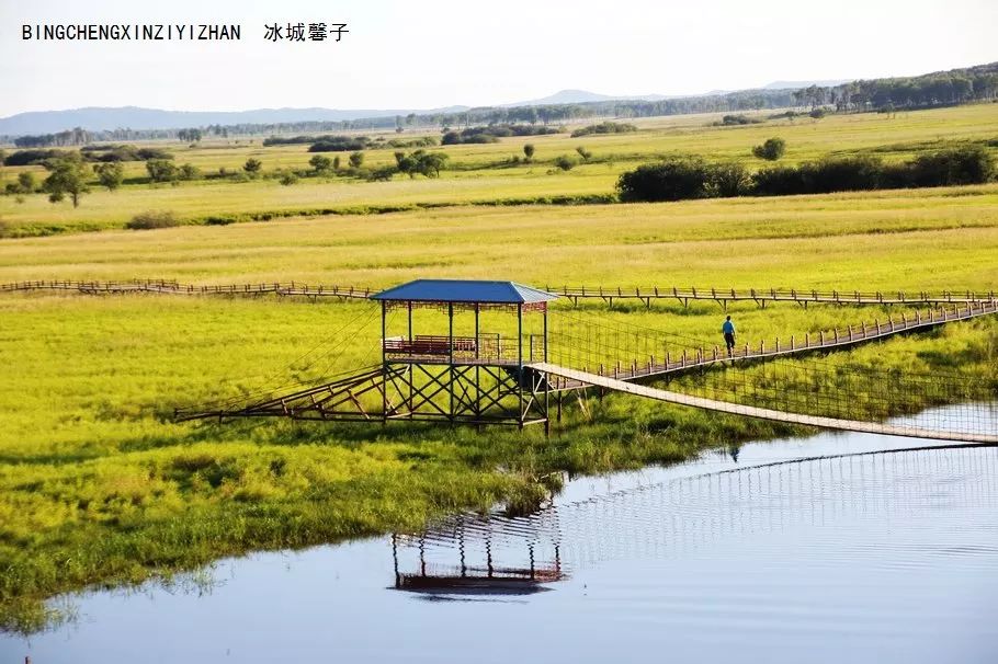 安徽淮南4万余亩湿地遭光伏项目、违法养殖侵占等问题获整治