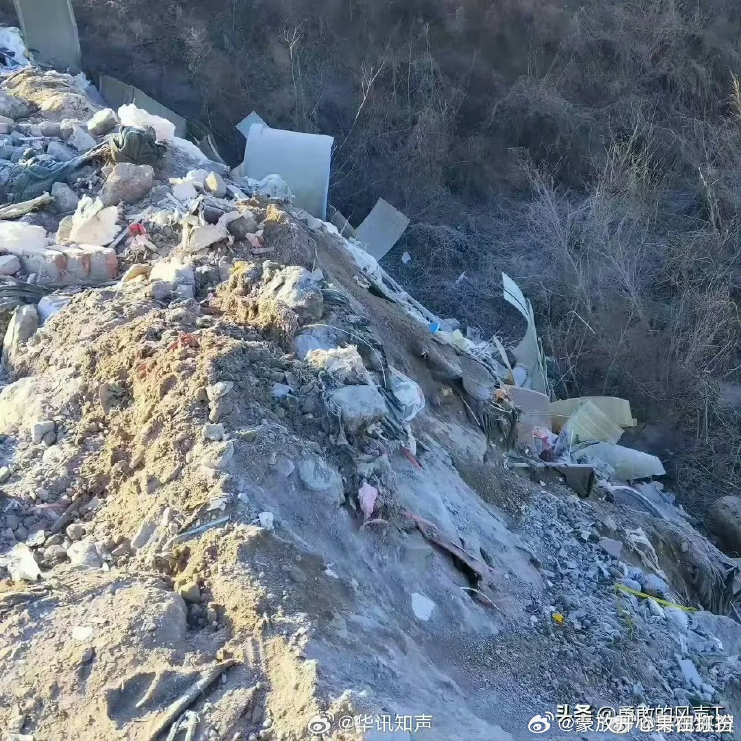 村支书威胁拍天坑垃圾被停职事件，权力与责任的反思